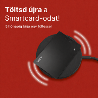 Loopy® Wireless Charger