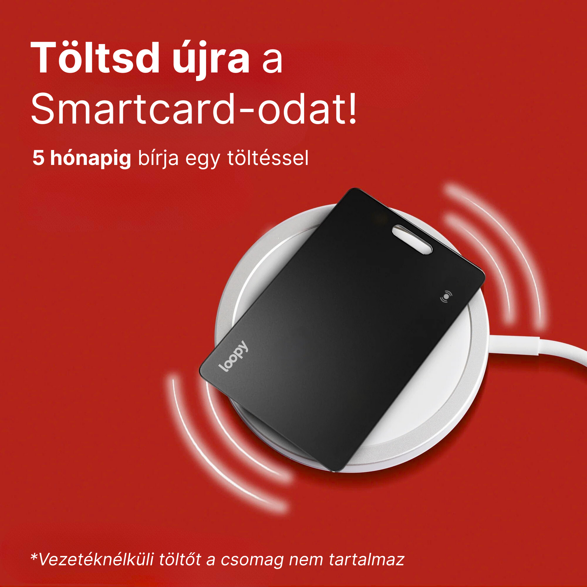 Loopy Smartcard - Loopy